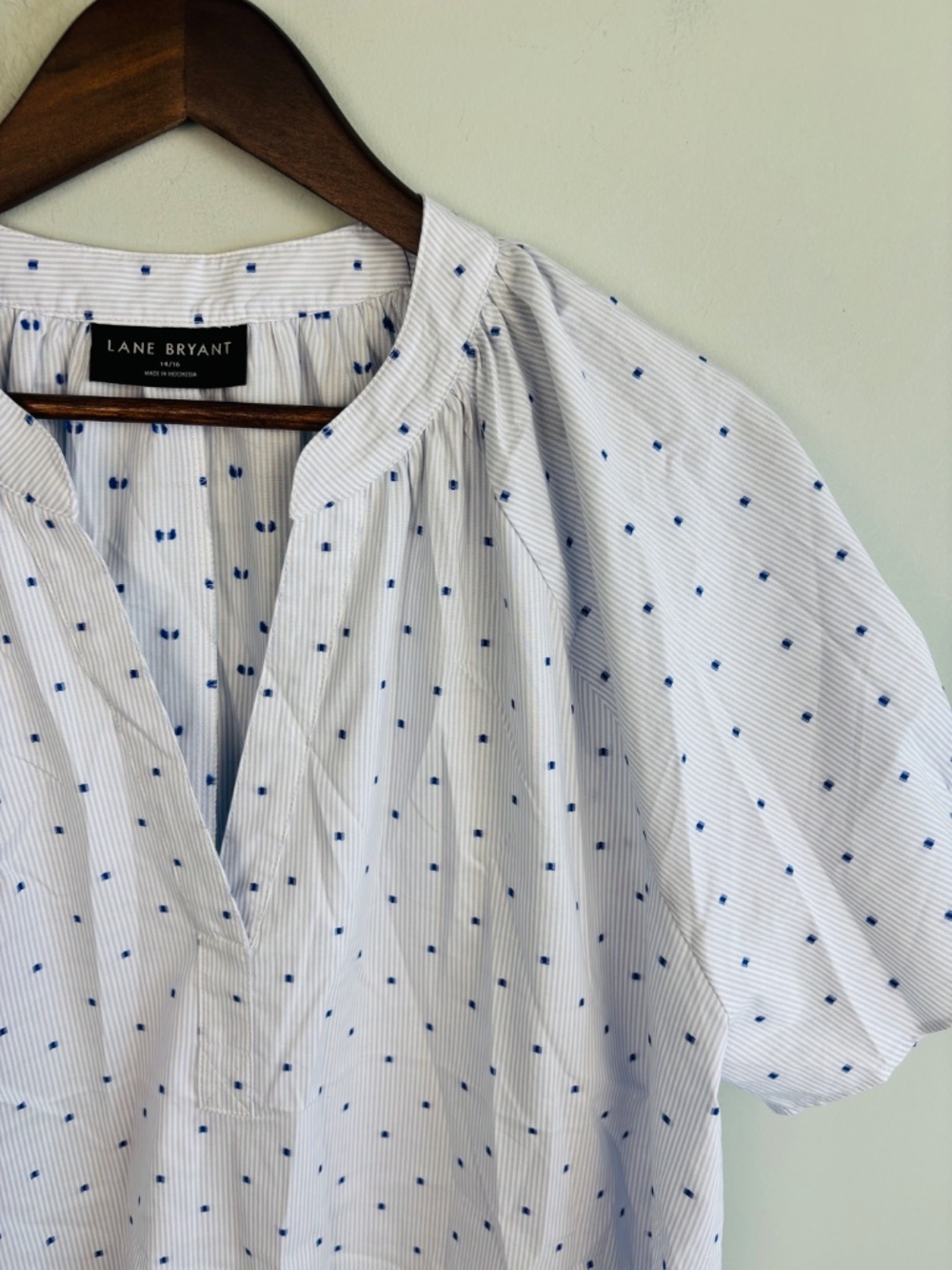 Lane Bryant Striped Embroidered Dot Split Neck Blouse Size 14/16